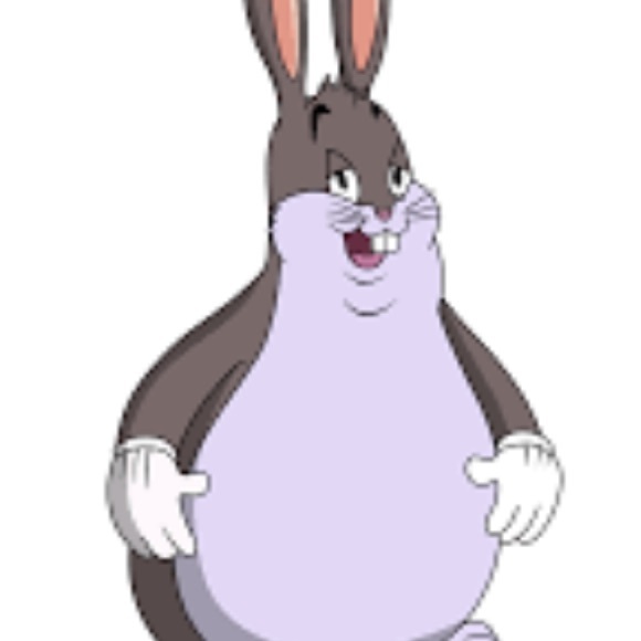 Meet your Posher, Luke - Picture 1 of 1